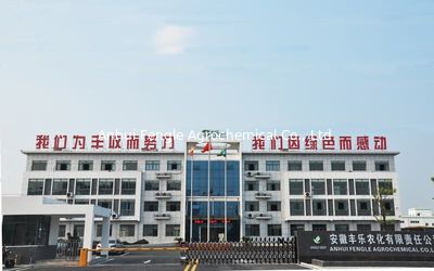 中国 Anhui Fengle Agrochemical Co., Ltd. 工場
