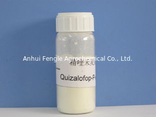 Quizalofop-P- Ethyl95%TC、98%TCの大豆/年次草が茂った雑草のための綿のAgrochemical殺虫剤、オフホワイトの粉