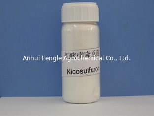 Nicosulfuron 97% TCの全身の選択的なBroadleaf除草剤、オフホワイトの粉