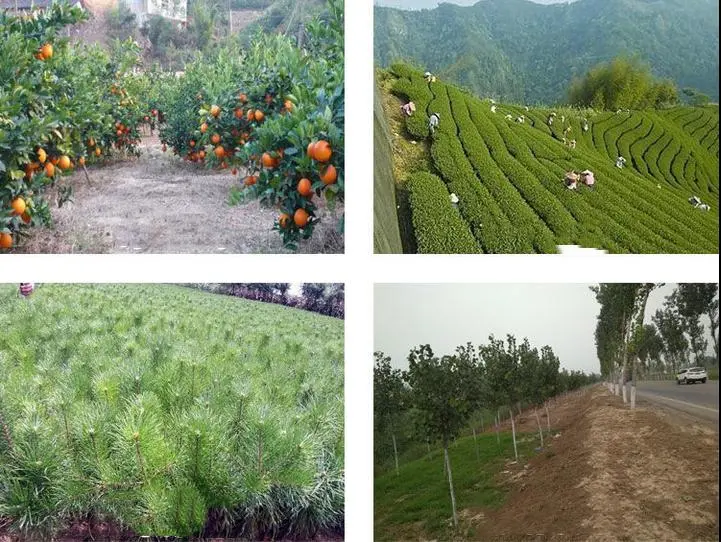 トウモロコシのサトウキビ分野の除草剤制御年次雑草のWeedicide Mesotrione 15% Sc