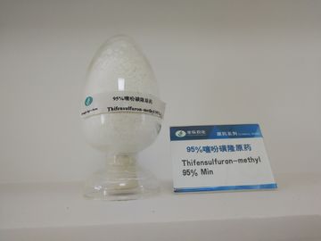 Thifensulfuronメチル95% TCの白い粉、Agrochemical殺虫剤の除草剤