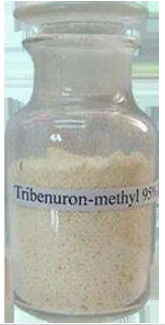 Broadleaf雑草を制御する除草剤のTribenuron選択的なメチルの除草剤95% Tc