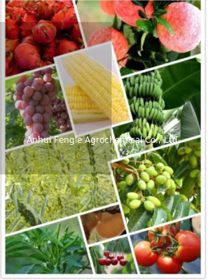 25057-89-0 Agrochemical殺虫剤の除草剤Bentazone 95%TC