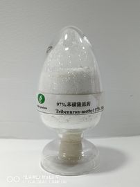 Tribenuron-methyl95%TCの農業の除草剤、広いLeaved雑草のポストの出現制御